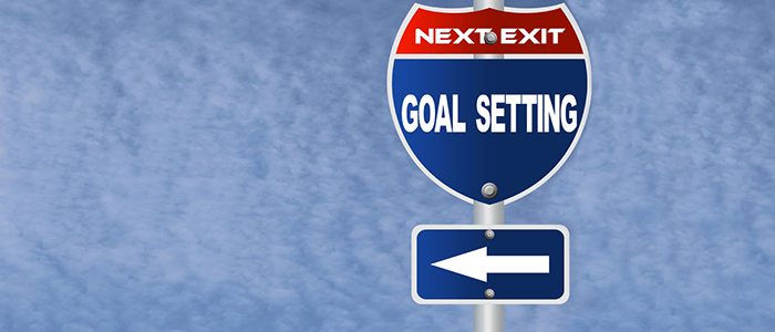 Goal Setting Ideas for the Year