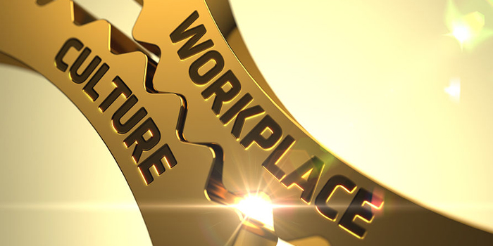 Workplace Culture Shifts — Why and What to Do